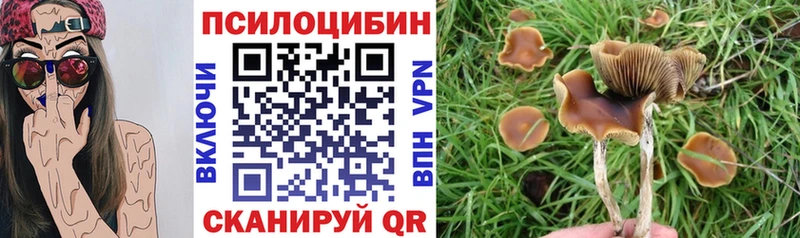 Галлюциногенные грибы Magic Shrooms Усинск
